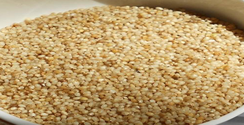 Kuthiraivali (Echinochloa esculenta (A.Braun) H.Scholz)